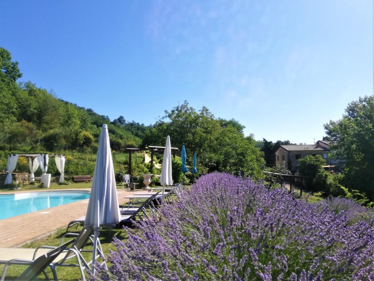 Le Ginestre Apartments Assisi Bagian luar foto