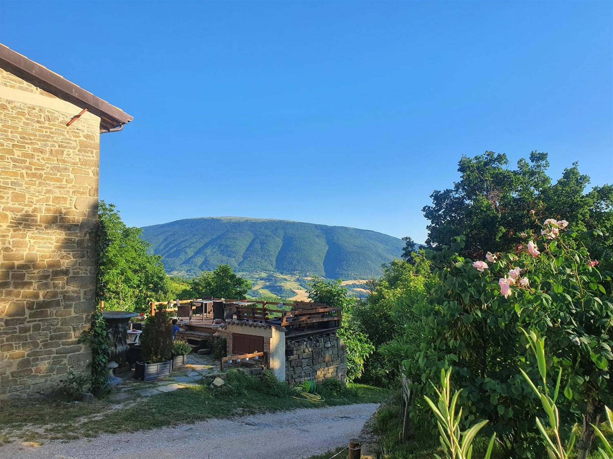 Le Ginestre Apartments Assisi Bagian luar foto